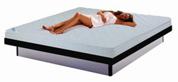 Duales Softside Wasserbett Modell Inside