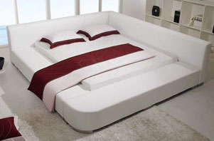 Kombination Wasserbett mit Lederbettrahmen Kombination Wasserbett mit Lederbettrahmen
