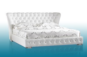 Wasserbett Lederbett