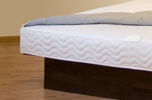 Secure-Liner Wasserbett Staubschutz