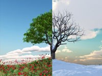 Wasserbetten Klimatisierung im Winter und Sommer