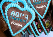 tl_files/usload/thumbs/wasen-volksfest-stuttgart-aktion-wiki.jpg