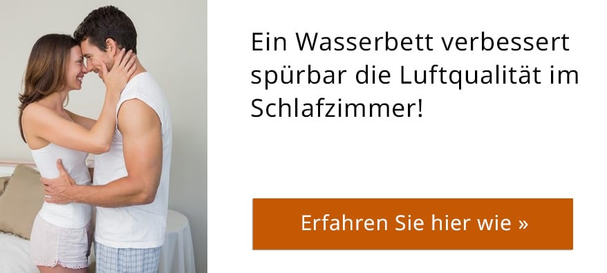 9 Pflanzen im Schlafzimmer, die Ihnen beim Schlafen helfen 9 Pflanzen im Schlafzimmer, die Ihnen beim Schlafen helfen