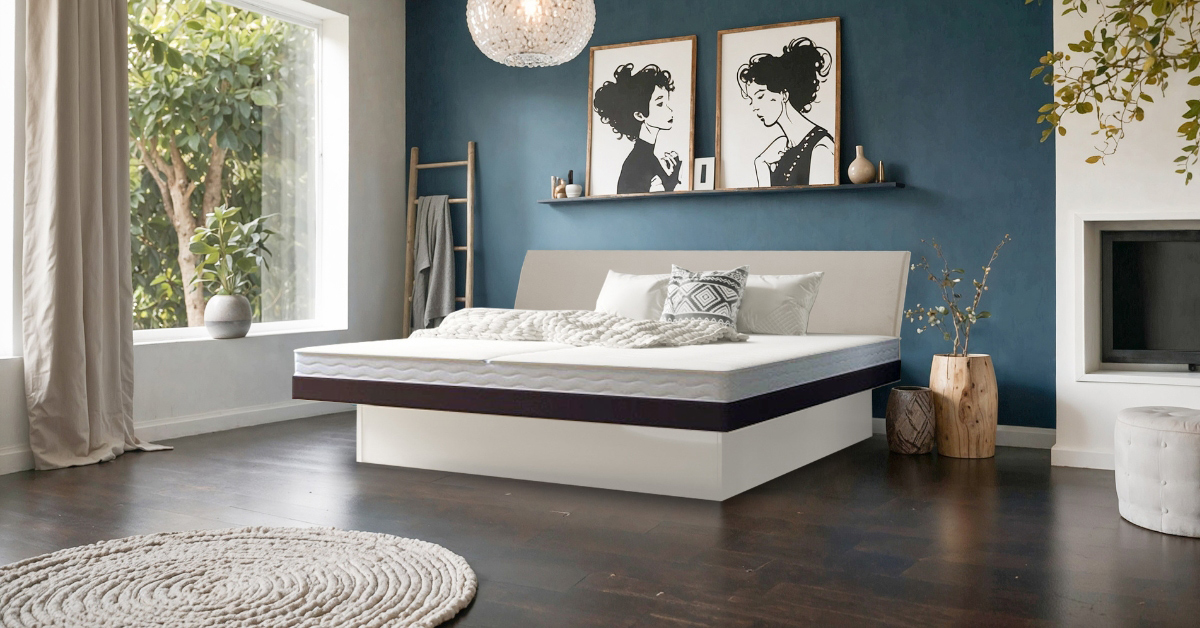 Deal 7 2.26 Classic mit Leon
