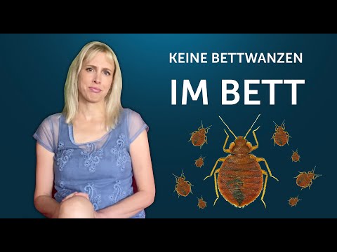 So kÃ¶nnen Sie Bettwanzen Stiche und Bettwanzen erkennen und die Bettwanzen bekÃ¤mpfen