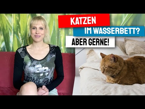 Wasserbett und Katzen - Kann eine Katze das Wasserbett kaputt machen?