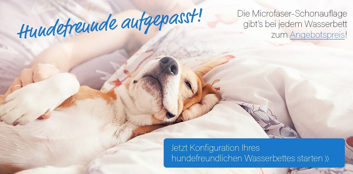 Hundefreundliches Wasserbett zusammstellen