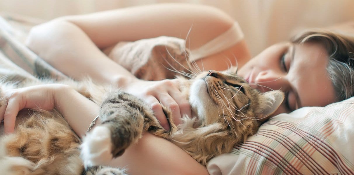 Erfahrungen mit Katzen im Wasserbett