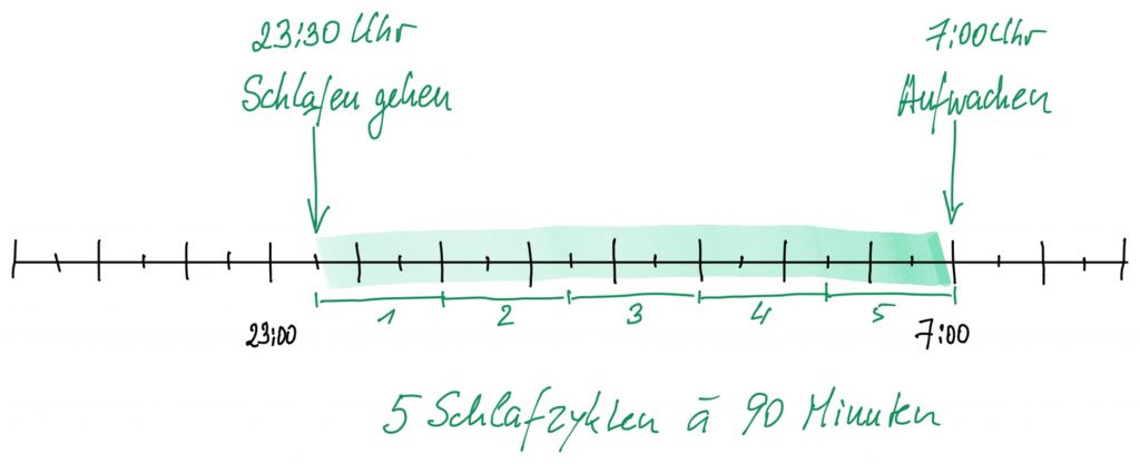 90 Minuten Schlafzyklus